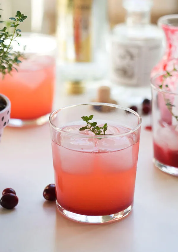 Cranberry Thyme Gin and Tonic