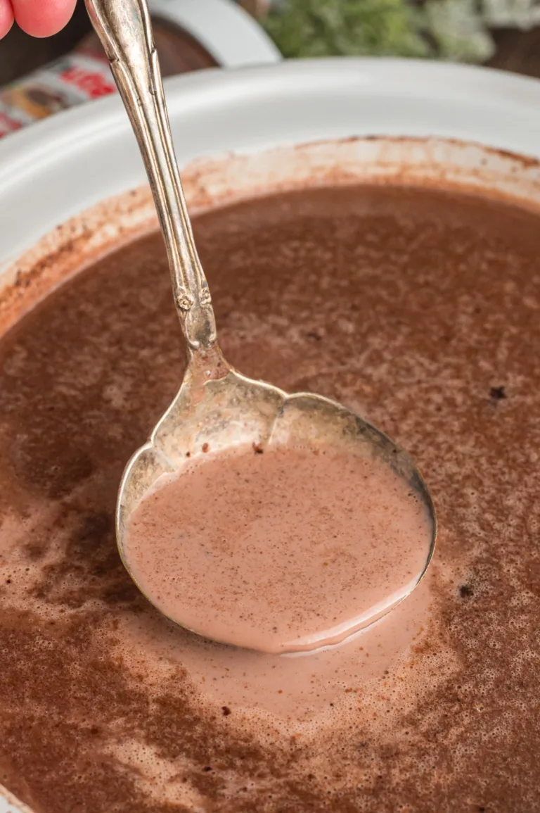Slow Cooker Nutella Hot Chocolate