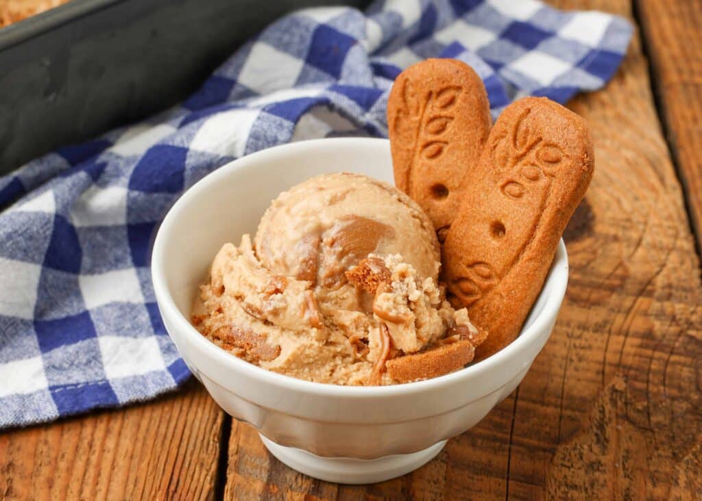 Cookie Butter Ice Cream