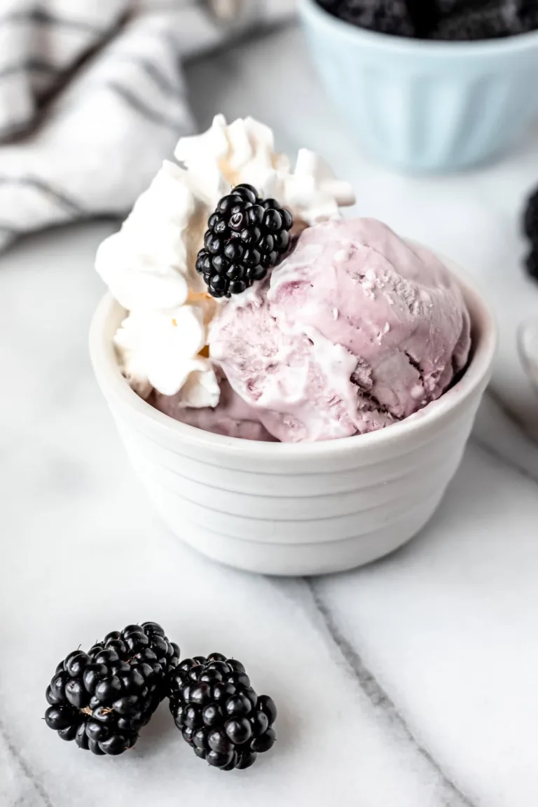 Blackberry Ice Cream (No Churn)
