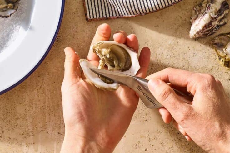 The 5 Best Oyster Knives, Used by a Professional Chef